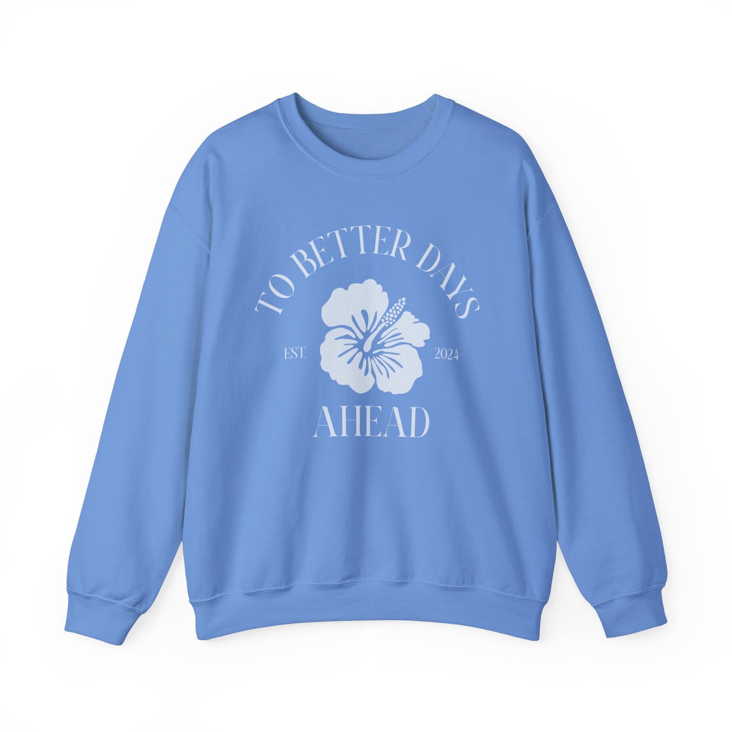 Unisex Crewneck Sweatshirt - To Better Days Ahead.